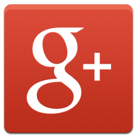 Google small icon which associates with relative review Google Logo